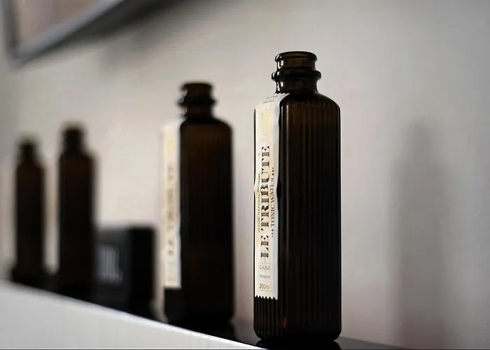 Super Atico Auditorio Centro Appartement